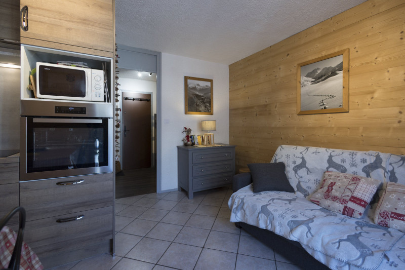 SALON - STUDIO LES BERGERS 64 - CLOS DES ETOILES VALLOIRE CENTRE