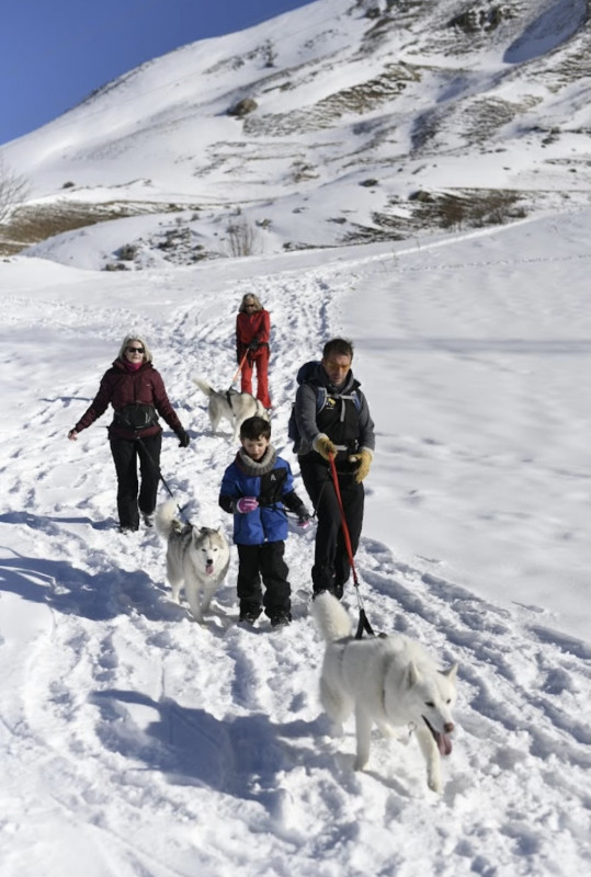 Walk with the Huskies at a preferential rate with a hotel - VALLOIRE RESERVATIONS - © You ski en Terre Happy Walk with the Huskies at a preferential rate with a hotel - VALLOIRE RESERVATIONS