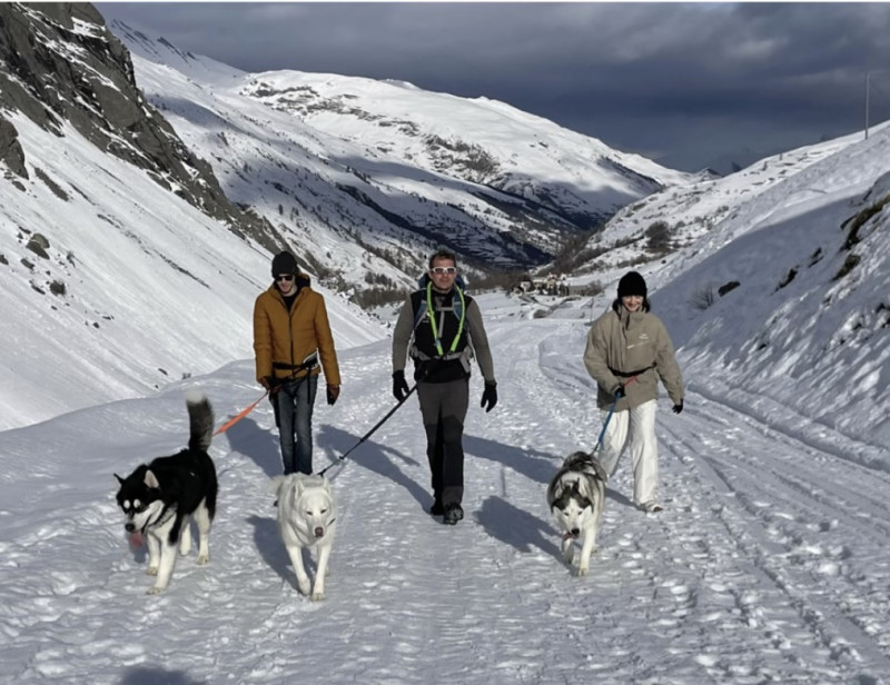 Balade avec les Huskies à tarif préférentiel avec une location meublée - VALLOIRE RESERVATIONS