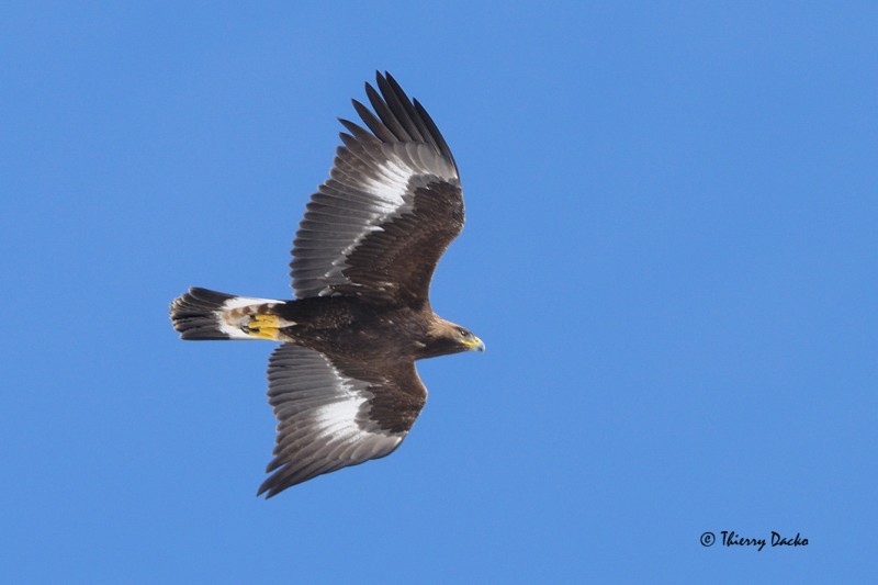 randonnée raquettes valloire randonnée raquettes valloire